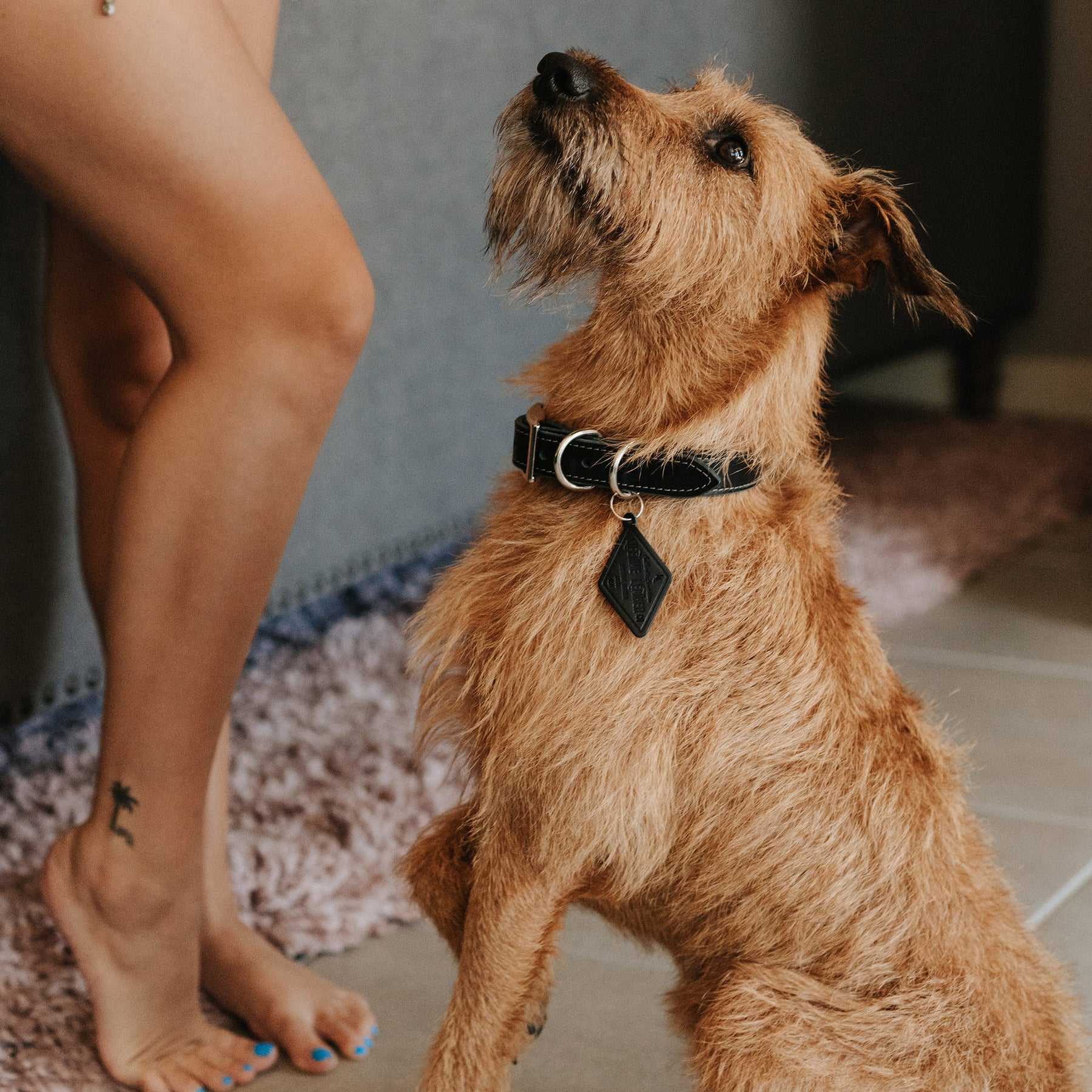 Blue - Luxury Designer Monogram Empreinte Leather Dog Collar