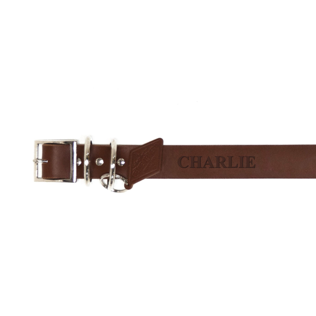 [color:American Saddle] Leather Dog Collar - Classic - Lifetime Leather Co