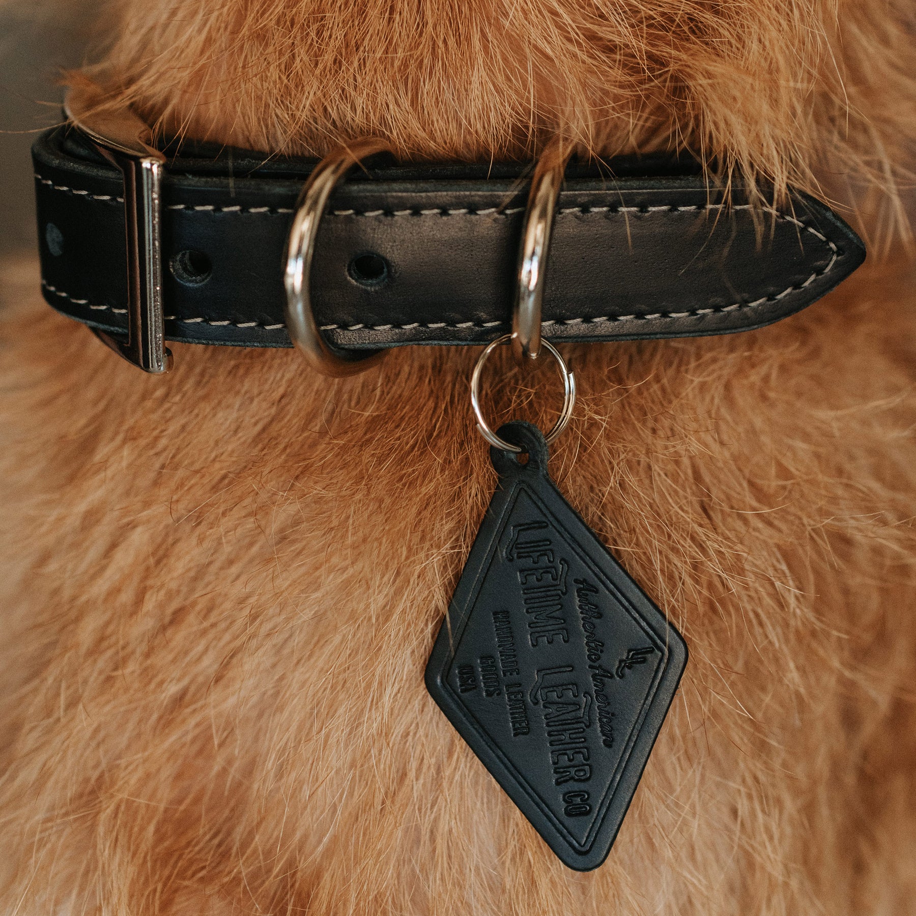 Heirloom Stars Leather Dog Collars  Designer Dog Boutique at
